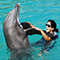 Dolphin Trainer