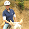 Horse Trainer