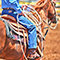 Rodeo Rider