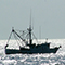 Shrimper